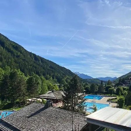 Appartamento Le Grand-bornand, 2 Pièces, 4 Personnes - Fr-1-458-161 Le Grand-Bornand
